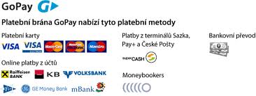 Online platby přes zabezpečenou platební bránu GoPay - Visa, MasterCard, Maestro, KB, mBank, Fio, GE Money Bank, Raiffeisen Bank, Volksbank i bankovní převod z pohodlí domova u MP3naMiru.cz